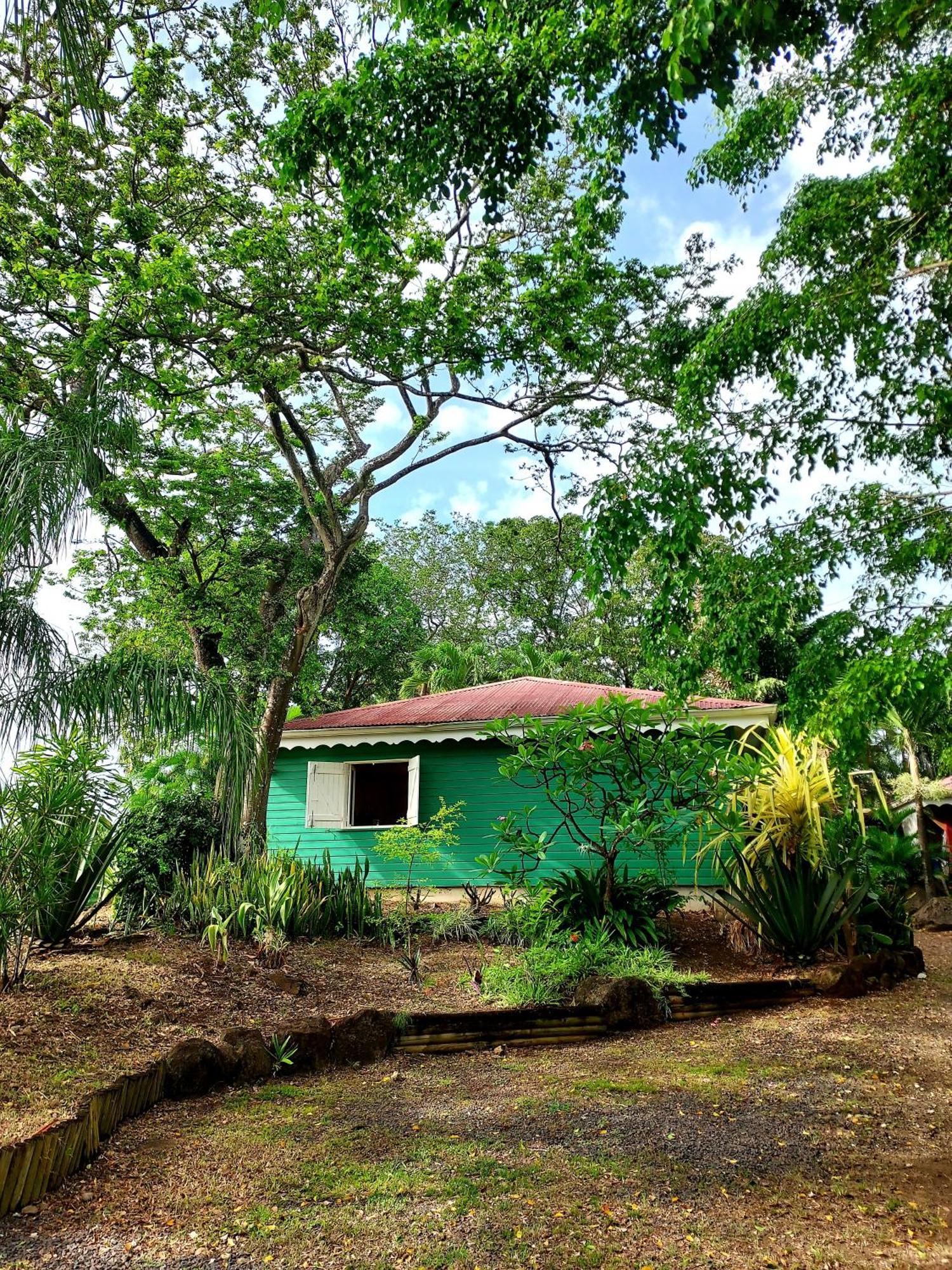 Bungalow Du Jardin Botanique De Deshaies Quarto foto